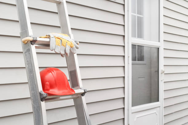 Best Custom Siding Design  in Jena, LA