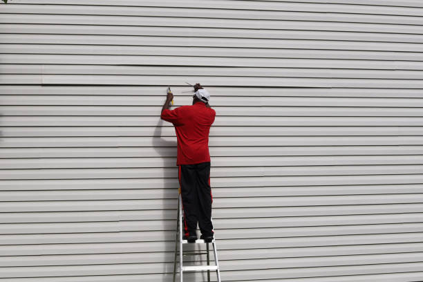 Best Aluminum Siding Installation  in Jena, LA
