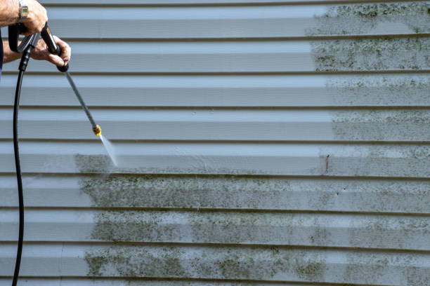 Best Custom Trim and Detailing for Siding  in Jena, LA