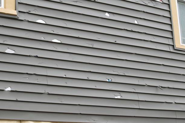 Best Siding for Commercial Buildings  in Jena, LA